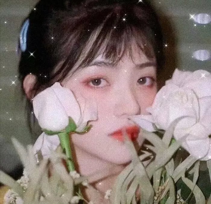 新富贵荣华